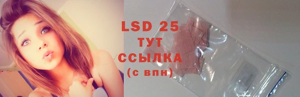 PSILOCYBIN Балахна