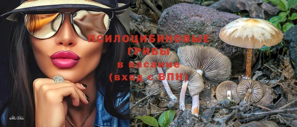 PSILOCYBIN Балахна