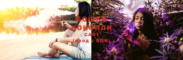 PSILOCYBIN Балахна